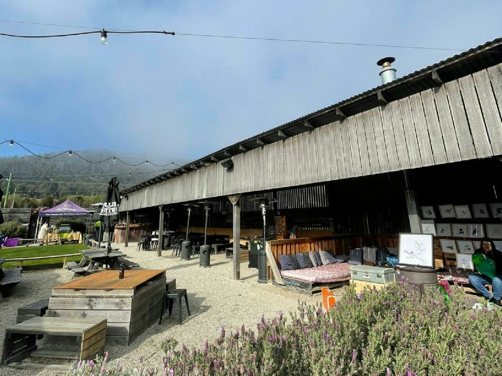 A wide shot of the Apple Shed 