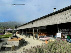 A wide shot of the Apple Shed 'barn' with stalls situated inside.