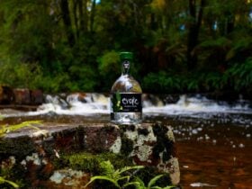 From the heart of the cool temperate rainforests of lutruwita, essentially sassafras