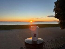 Takeaway coffee in front of sunrise.