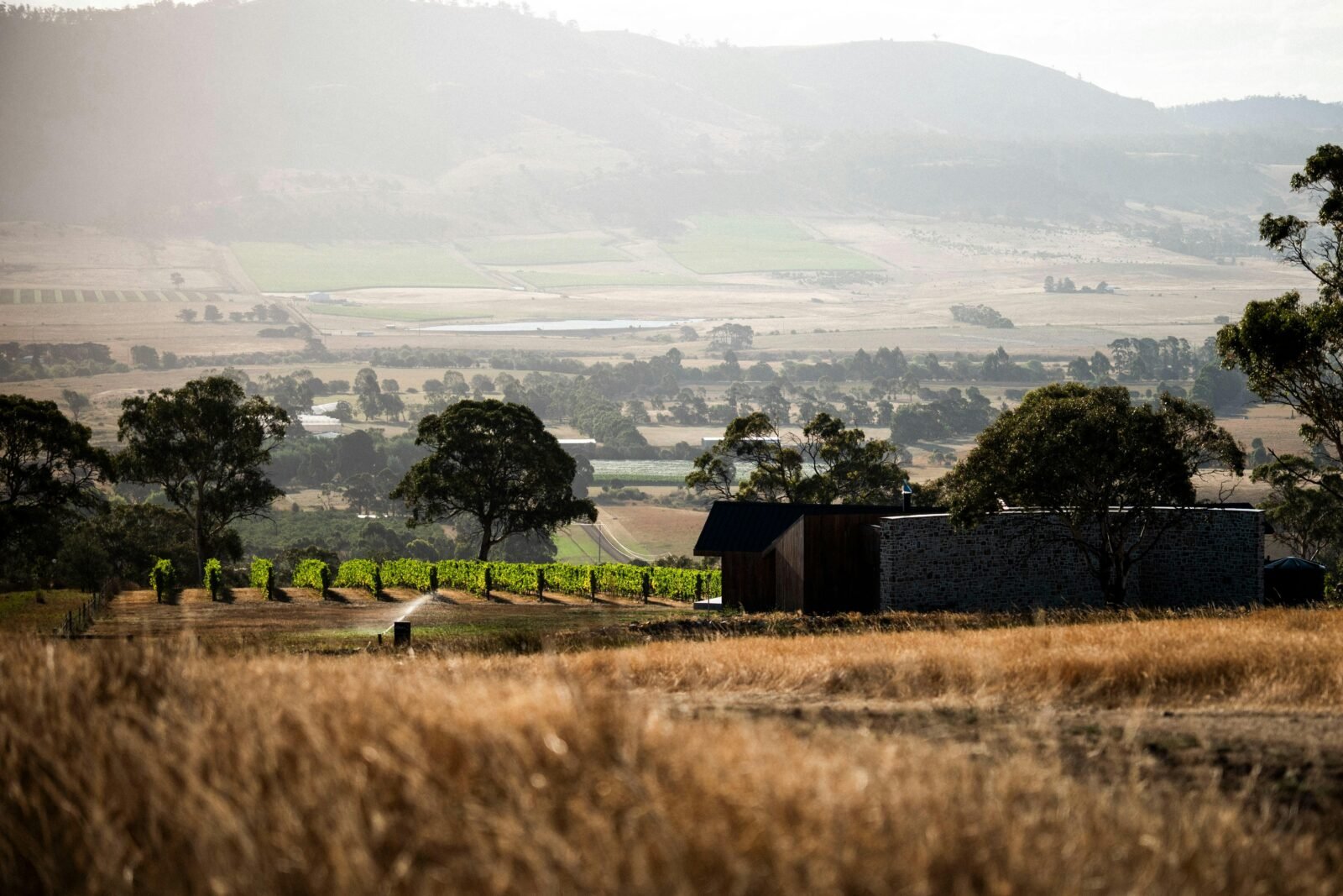Caledon Cellar Door overlooking the picturesque Coal Valley, Richmond, Tasmania