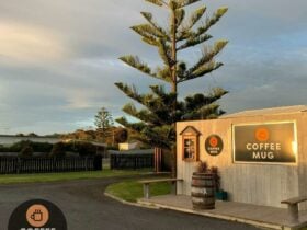 Drive Thru @ Coffee Mug