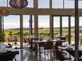 View from The Eatery overlooking the vineyard