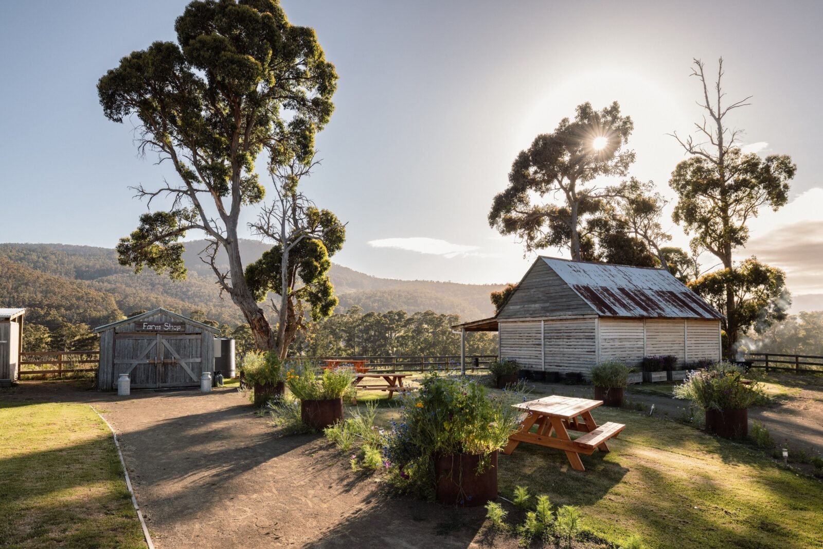 Glen Huon Dairy Farm