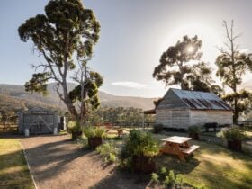 Glen Huon Dairy Farm
