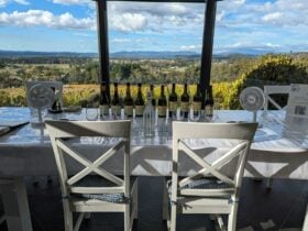 Tasting set up for 2 in our glassroom, with views over the vineyard & across the valley to mountains