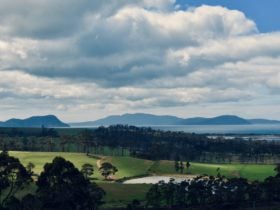 Overlooking Hellfire Bluff