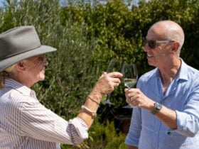 Two people cheersing wine glasses against Tasmanian bush