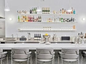 Institut Polaire Bar