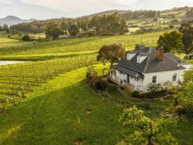 Kate Hill Wines Vineyard Tasmania Cellar door