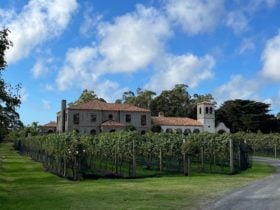 La Villa Wines Cellar Door