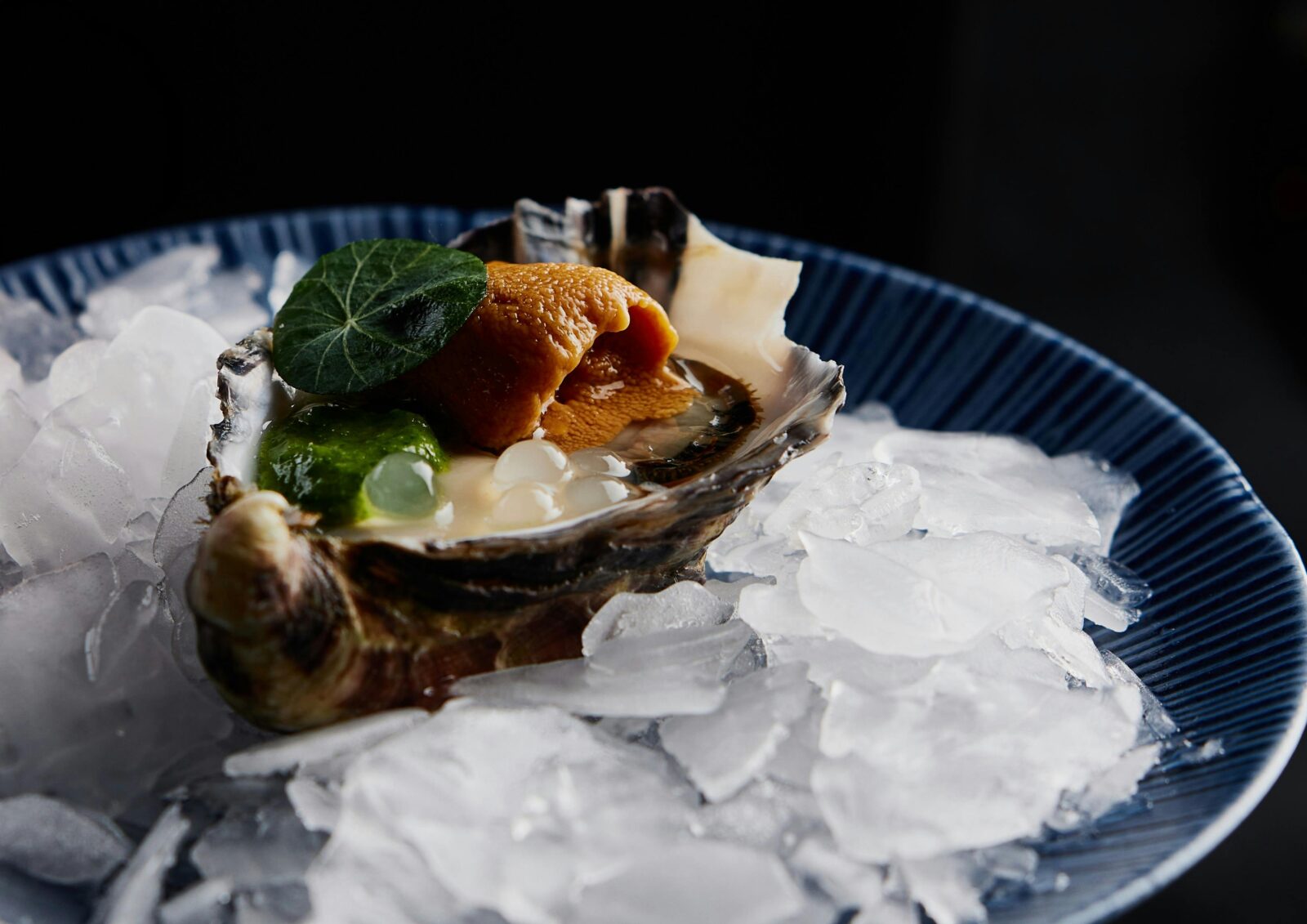 A Tasmanian Pacific Oyster, topped with sea urchin uni, yuzu pearls, and chimichurri