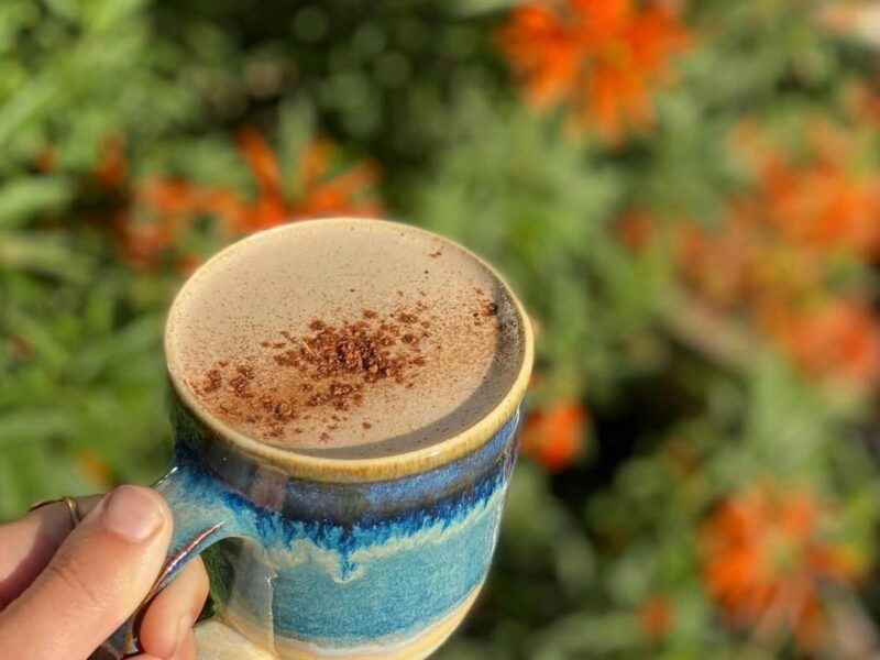 Wild craft Ceremonial Cacao