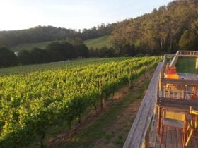View from the deck