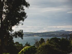 Spring Bay view