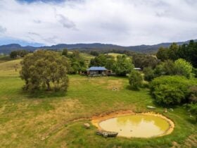 Springfield Deer Farm Homestead