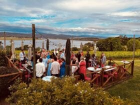 Customers dining outdoors with river view