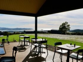 Just gorgeous brunch spot