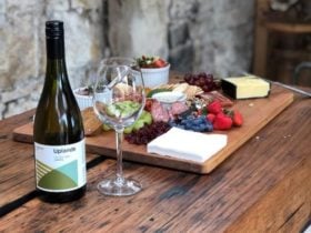 Uplands Vineyard
