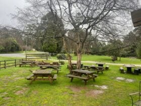 Beer Garden