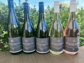 Winter Brook Wines cellar door Tastings available