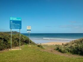Back Beach dog exercise area