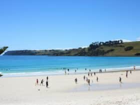 Boat Harbour Beach - Tasmania - whitest sand and clearest water