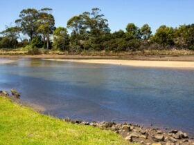 Pinic park area on a river, known as Cam River, in Somerset Tasmania