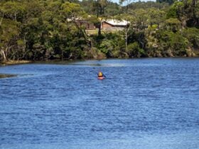 Cape Bridge Reserve - Kayak activities - Wynyard, Tasmania