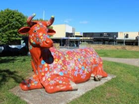 Waratah Wynyard Council Civic Park (Cow Park)