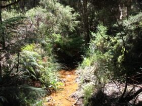 Clayton Drive Reserve