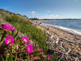 East Devonport Beach