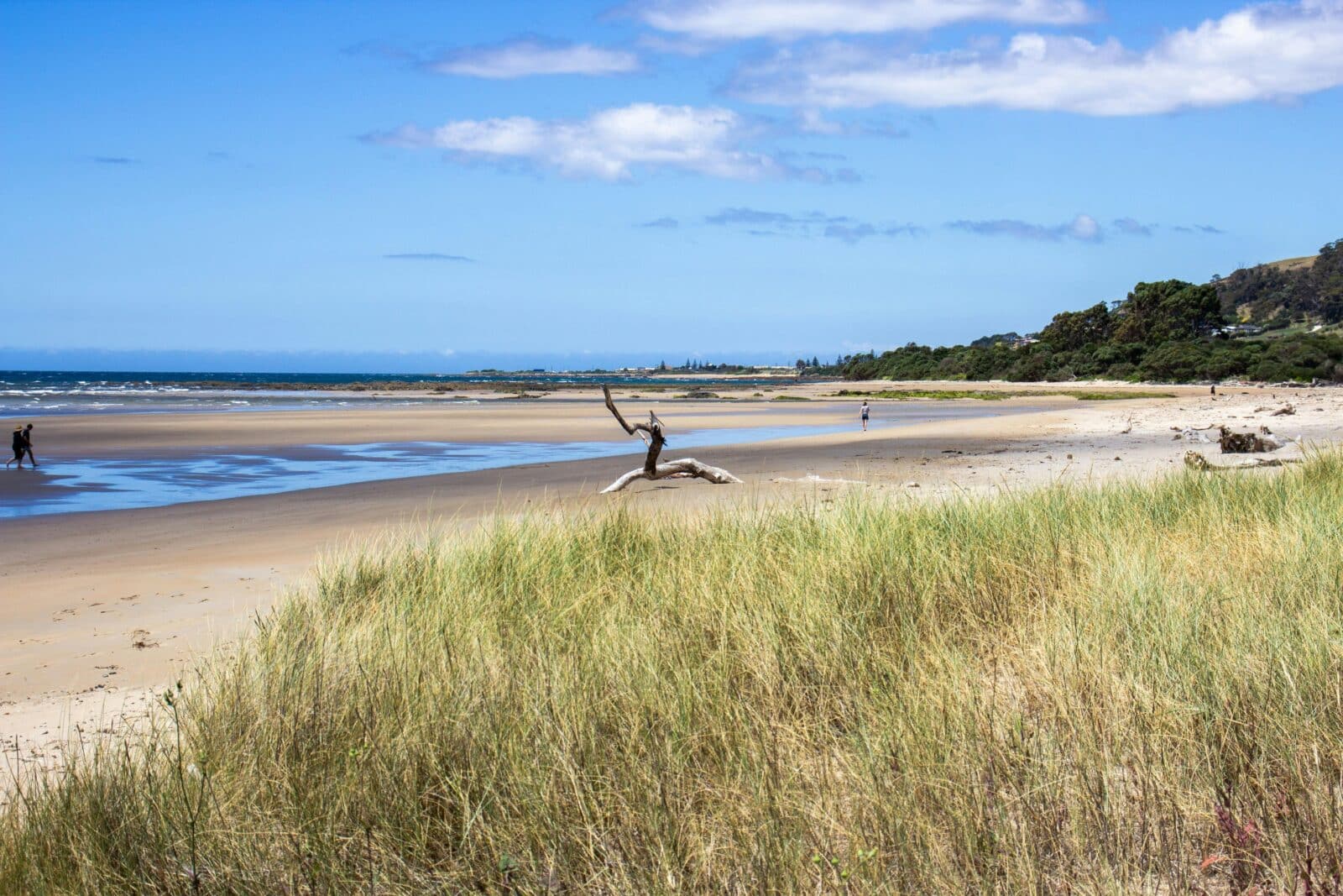 Somerset Foreshore and beach, Tasmania