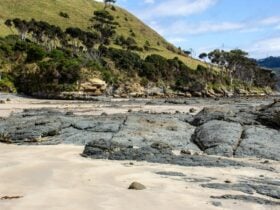 Fossil Bluff Beach and picnic area, Wynyard, Tasmania