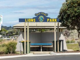 Lions Park Sitting Area