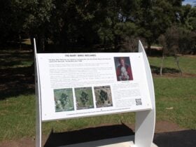Mary Binks Wetlands