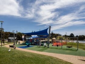Play equipment at The Devonport Bluff