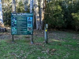 Bird Information board