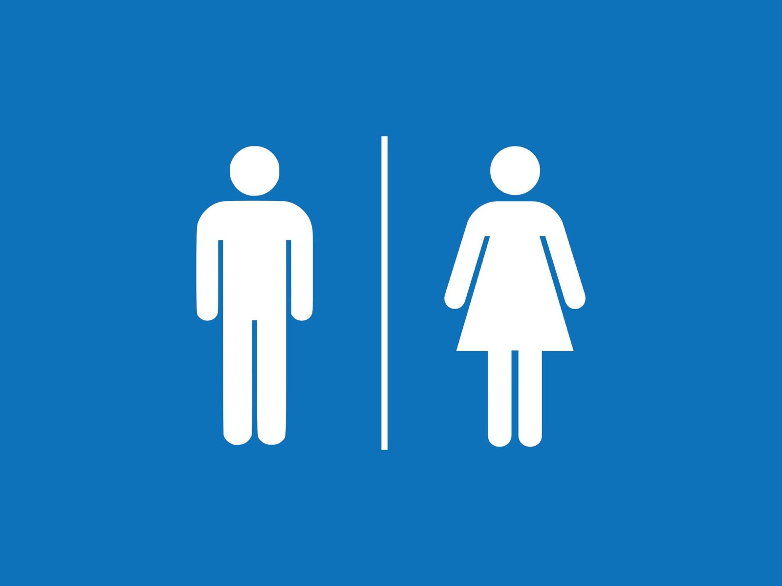 Scamander Conservation Area - Shelly Point Public Toilet