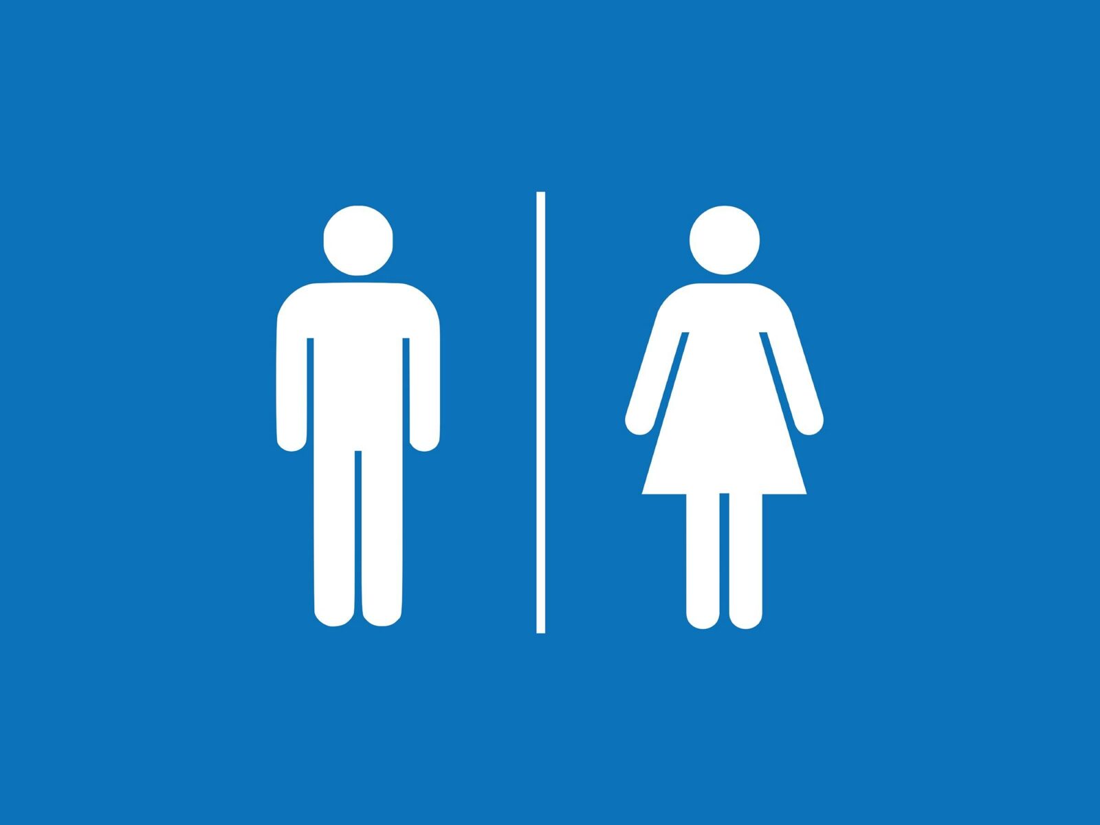 Scamander - Reserve Public Toilets