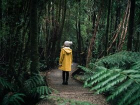 Walk to Nelson Falls