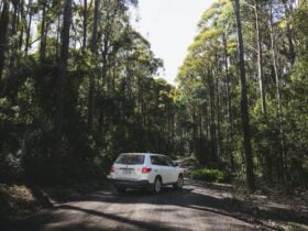 Rent a car from Hobart, fully equipped with camping gear and get set to explore Tasmania freely