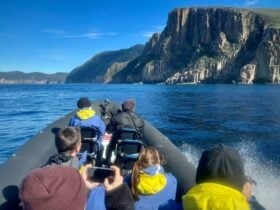 Passengers on a private RIB boat charter in Tasmania
