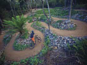 Blue Derby Mountain Bike Trails
