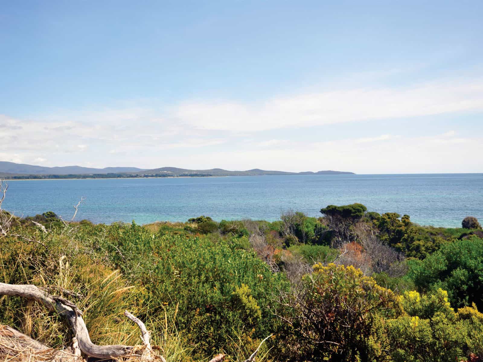 George Town coastline