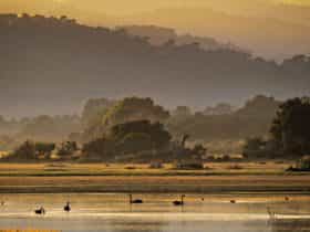Greens Beach - Narawntapu National Park