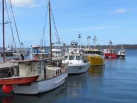 Fishing Boats