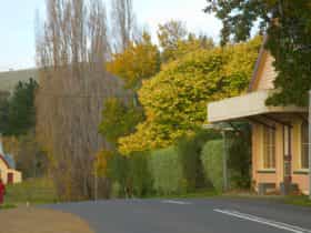 Streetscape of Woodbridge