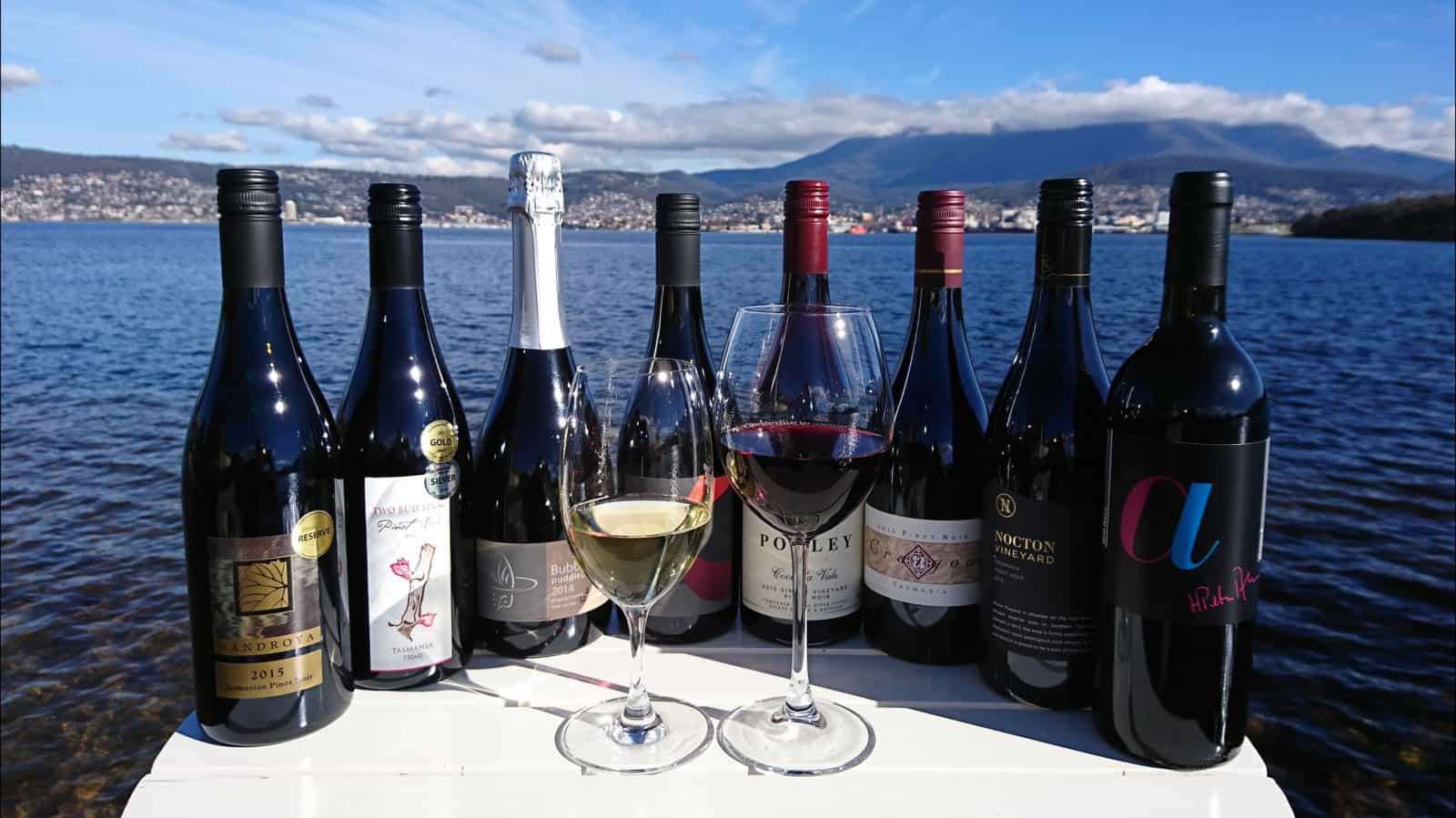 Wines from the Vineyards we Visit