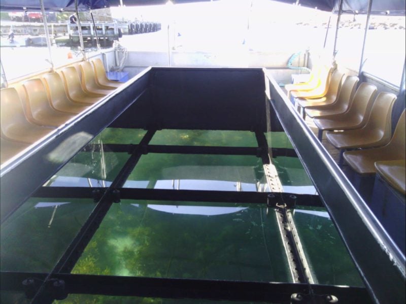 4 glass windows/ 11 seats each side